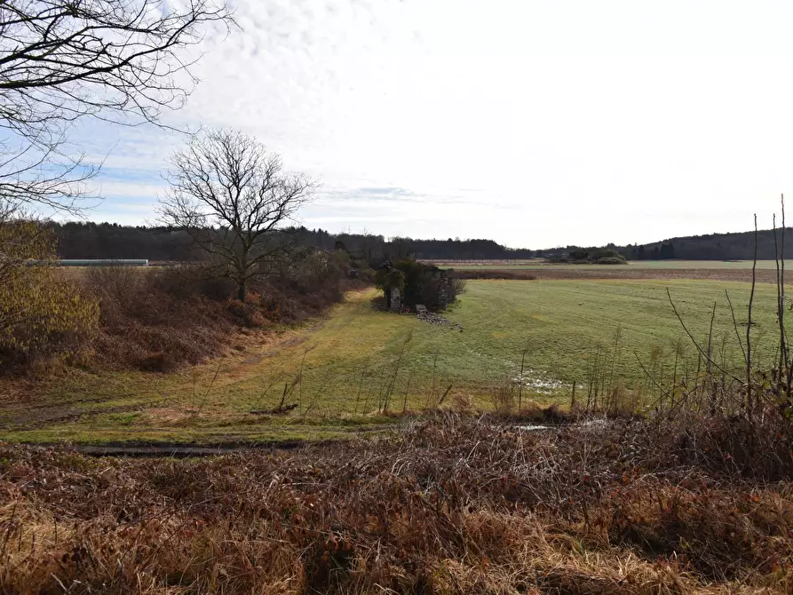 Immagine 9 di Azienda agricola in vendita  in Molino di Muggiano a Gattico-Veruno