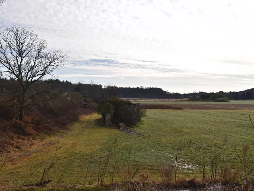 Immagine 10 di Azienda agricola in vendita  in Molino di Muggiano a Gattico-Veruno