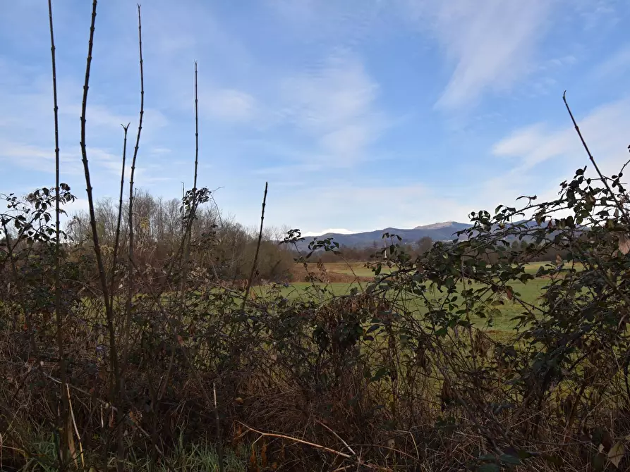 Immagine 12 di Azienda agricola in vendita  in Molino di Muggiano a Gattico-Veruno