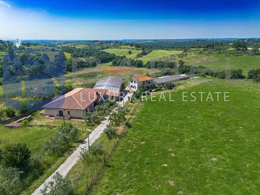 Immagine 3 di Azienda agricola in vendita  in Via Colle delle Rose a Riano