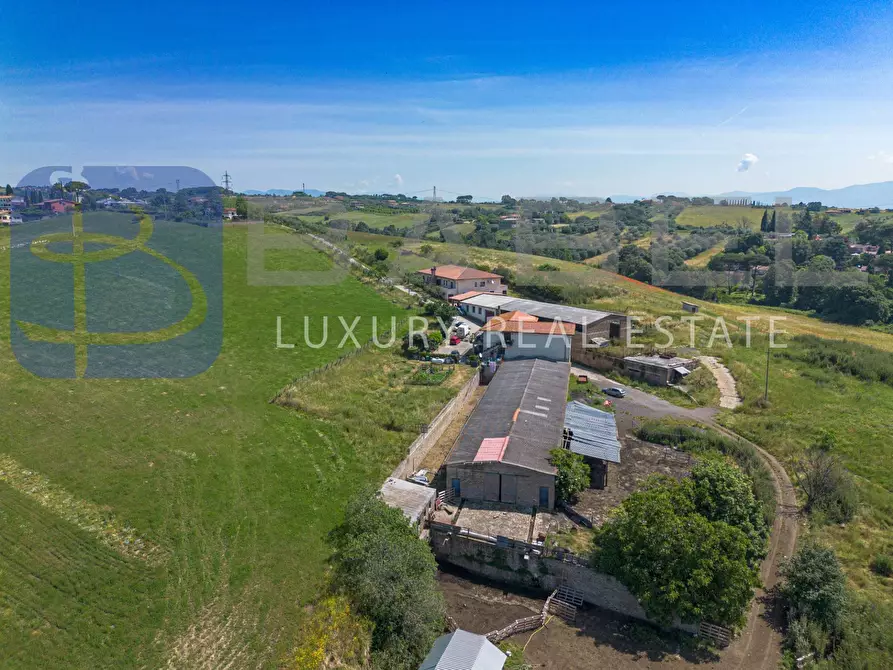 Immagine 4 di Azienda agricola in vendita  in Via Colle delle Rose a Riano