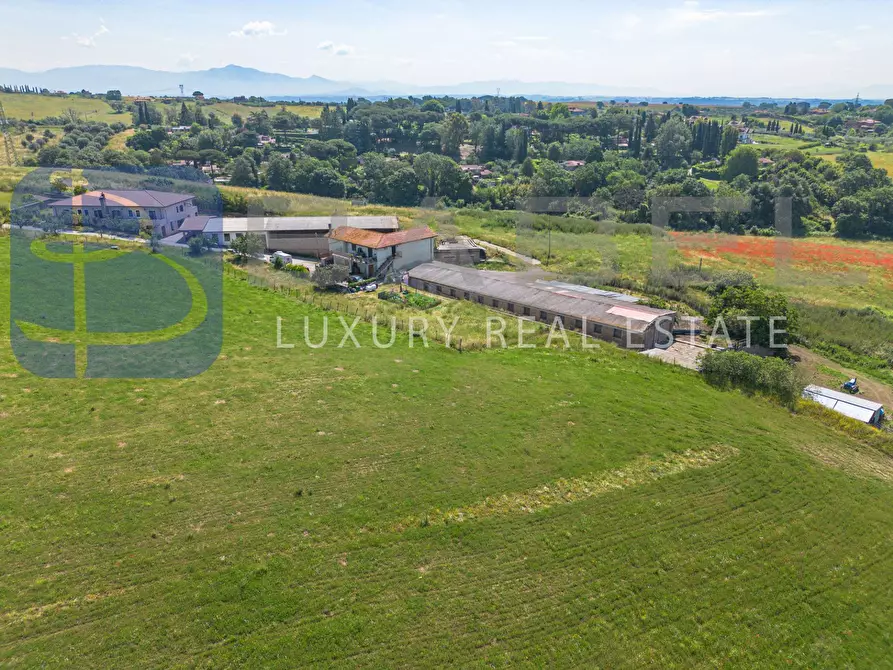 Immagine 5 di Azienda agricola in vendita  in Via Colle delle Rose a Riano