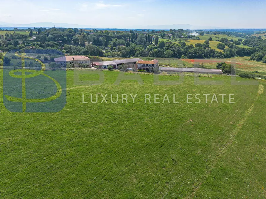 Immagine 6 di Azienda agricola in vendita  in Via Colle delle Rose a Riano