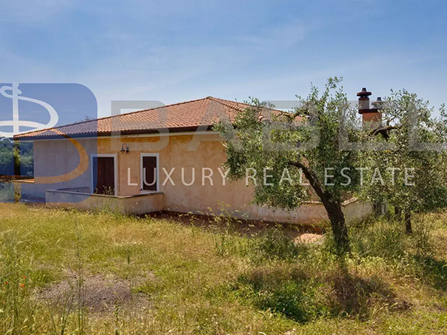Immagine 8 di Azienda agricola in vendita  in Via Colle delle Rose a Riano