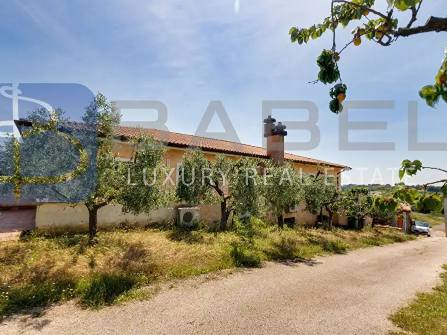 Immagine 9 di Azienda agricola in vendita  in Via Colle delle Rose a Riano