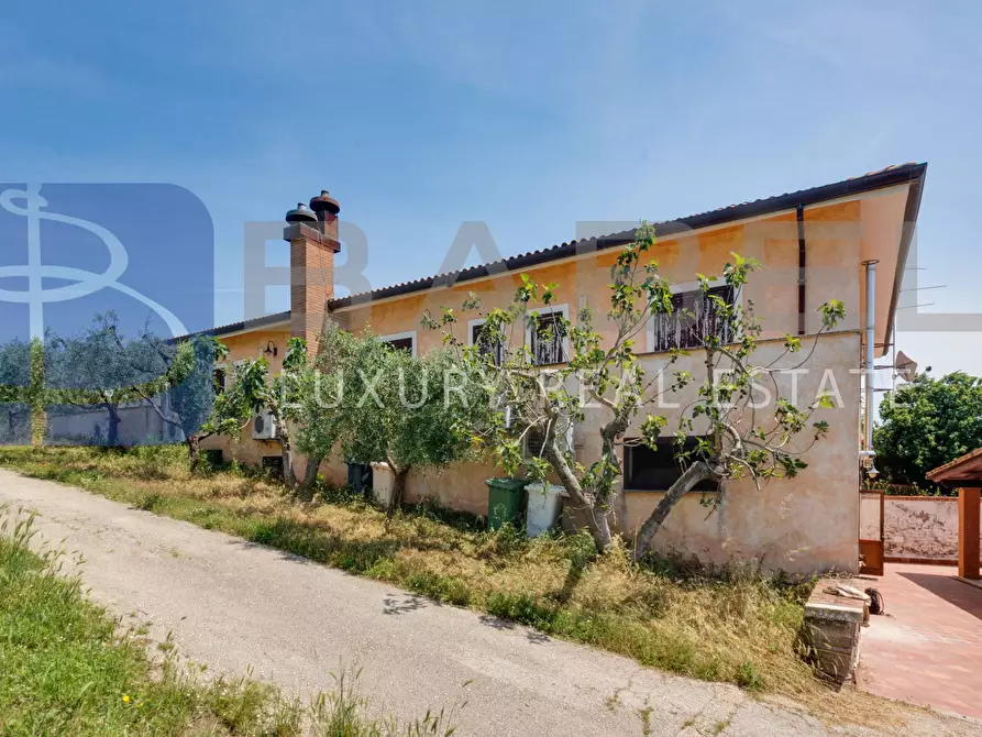 Immagine 10 di Azienda agricola in vendita  in Via Colle delle Rose a Riano