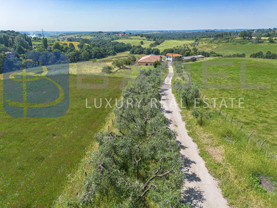 Immagine 1 di Azienda agricola in vendita  in Via Colle delle Rose a Riano