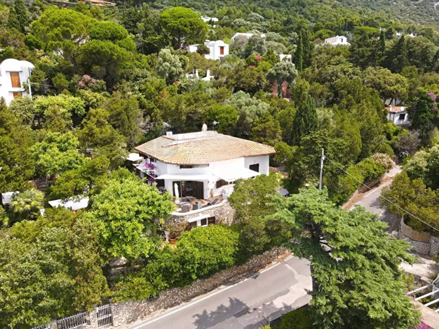 Immagine 12 di Villa in vendita  in Via del Faro a San Felice Circeo