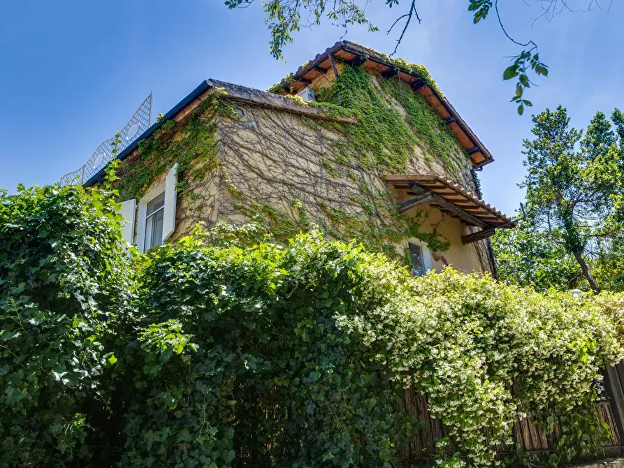 Immagine 5 di Villa in vendita  in VIA DEI MOLINI a Monte Argentario