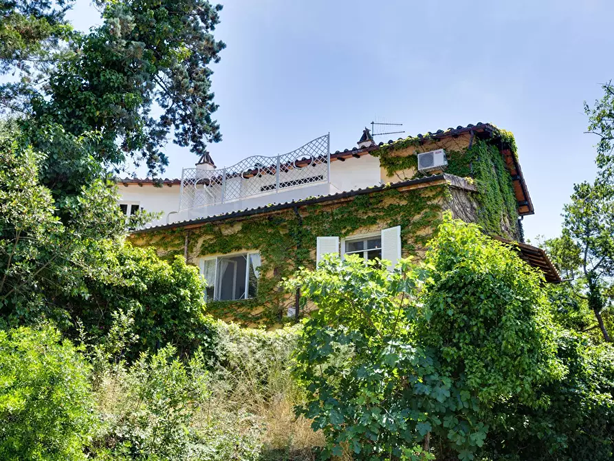 Immagine 7 di Villa in vendita  in VIA DEI MOLINI a Monte Argentario