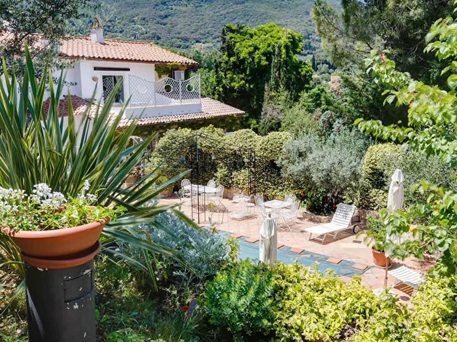 Immagine 11 di Villa in vendita  in VIA DEI MOLINI a Monte Argentario