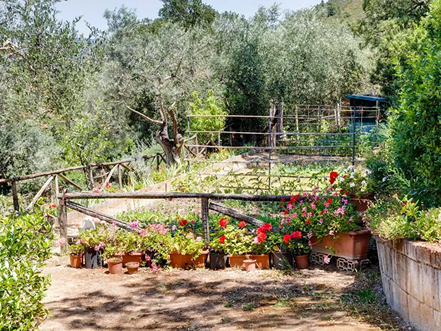 Immagine 15 di Villa in vendita  in VIA DEI MOLINI a Monte Argentario
