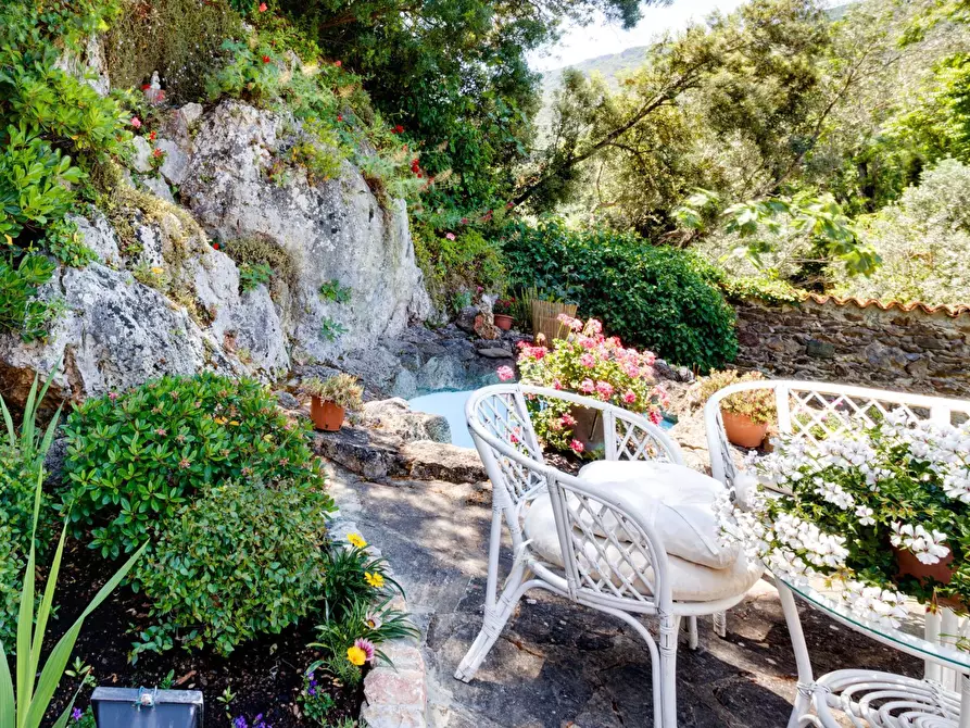 Immagine 19 di Villa in vendita  in VIA DEI MOLINI a Monte Argentario