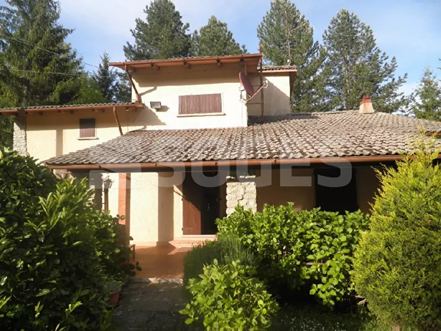 Immagine 1 di Villa in vendita  in STRADA REGIONALE DELLA CONSUMAPELAGOFI a Pelago