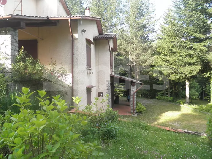 Immagine 16 di Villa in vendita  in STRADA REGIONALE DELLA CONSUMAPELAGOFI a Pelago