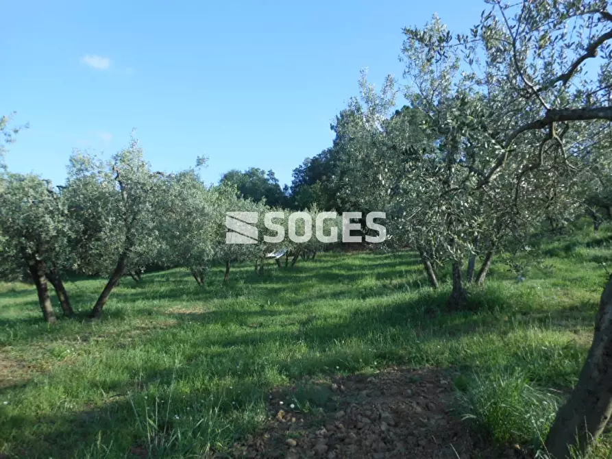 Immagine 17 di Camera in vendita  a Bucine