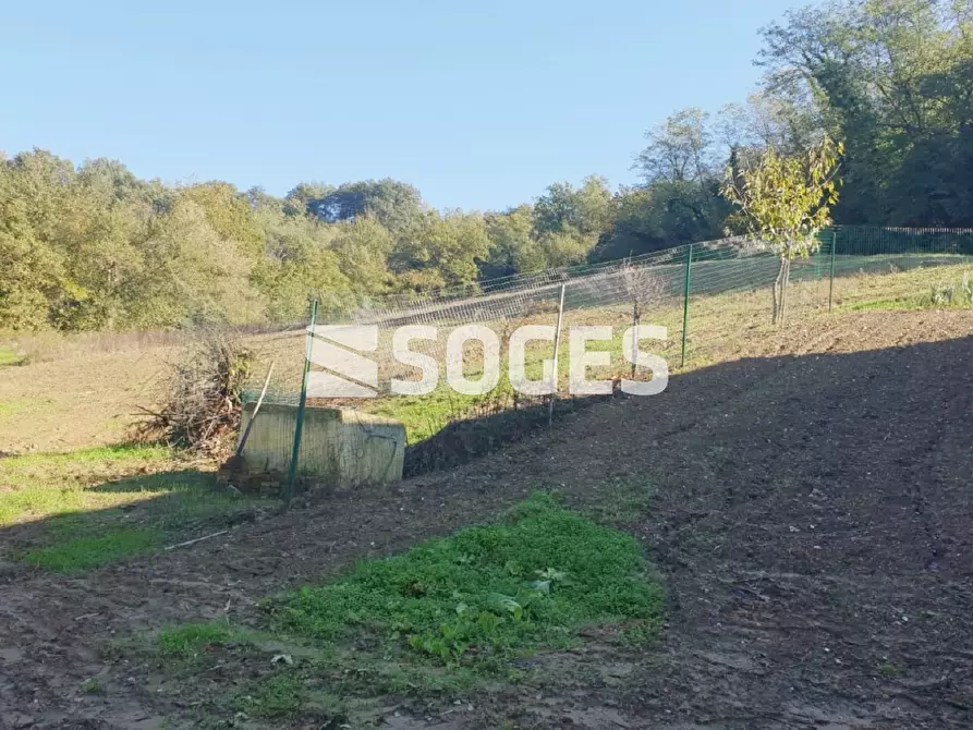 Immagine 16 di Casa indipendente in vendita  in Via di Loccano a Montevarchi