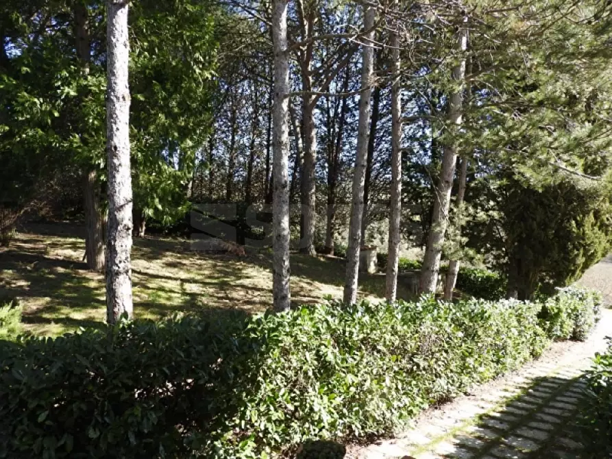 Immagine 17 di Villa in vendita  in COLLINE a Pontassieve