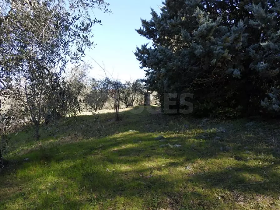 Immagine 16 di Villa in vendita  in COLLINE a Pontassieve