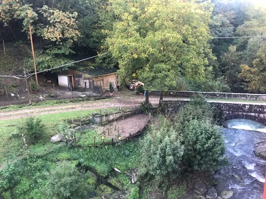 Immagine 3 di Appartamento in vendita  in Tosi a Pelago