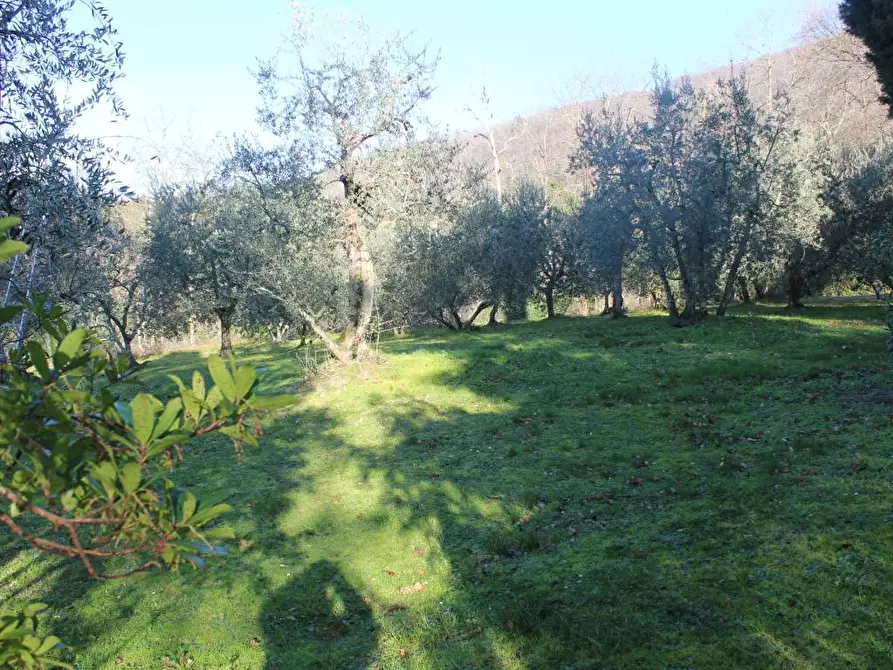 Immagine 26 di Villa in vendita  in Sp86 a Reggello