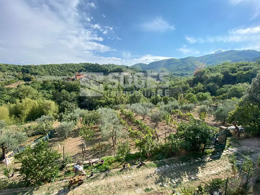 Immagine 6 di Villa in vendita  in Via La Selice a Cavriglia