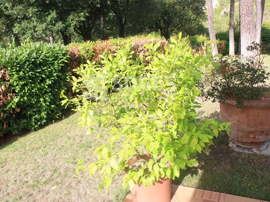 Immagine 27 di Villa in vendita  in Via XXV Aprile a Pontassieve