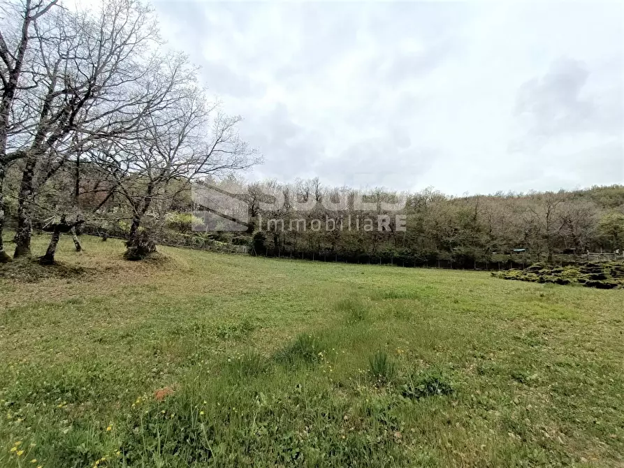 Immagine 10 di Villa in vendita  in S.da dellla Fiorentina a Loro Ciuffenna