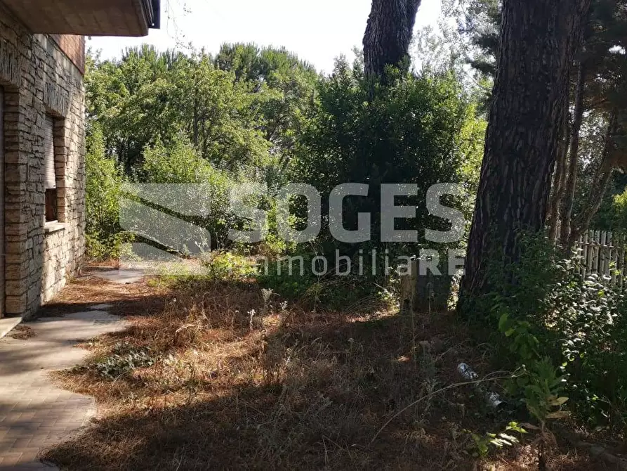 Immagine 2 di Camera in vendita  in Via Provinciale di Mercatale a Bucine