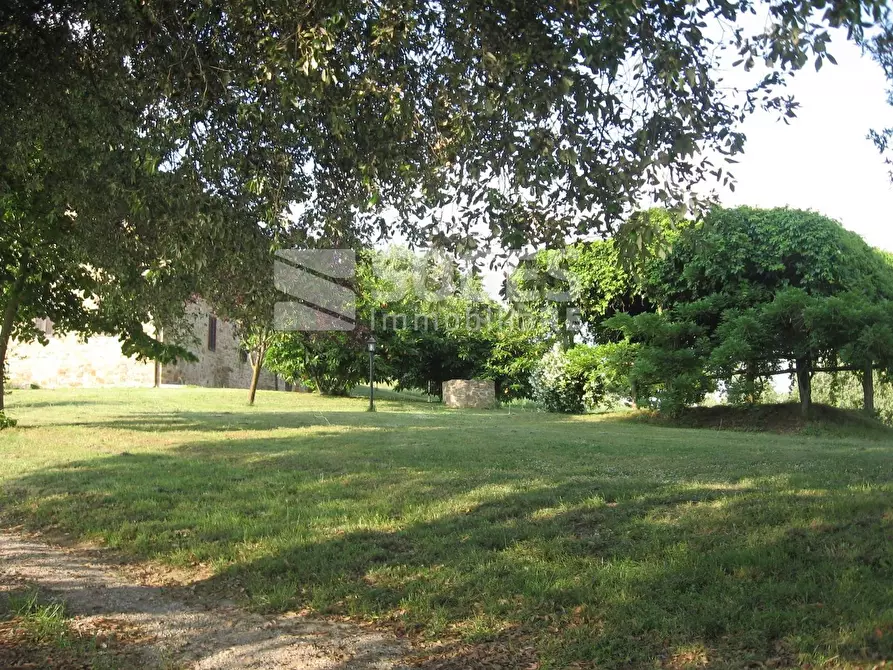 Immagine 3 di Villa in vendita  in Montebenichi a Bucine