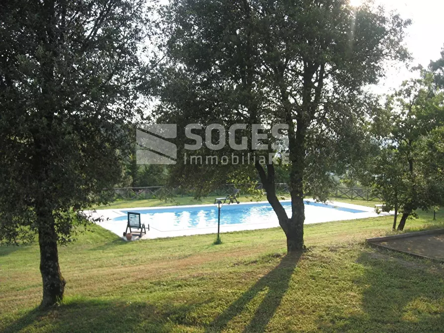 Immagine 28 di Villa in vendita  in Montebenichi a Bucine