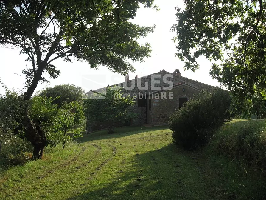 Immagine 15 di Villa in vendita  in Montebenichi a Bucine