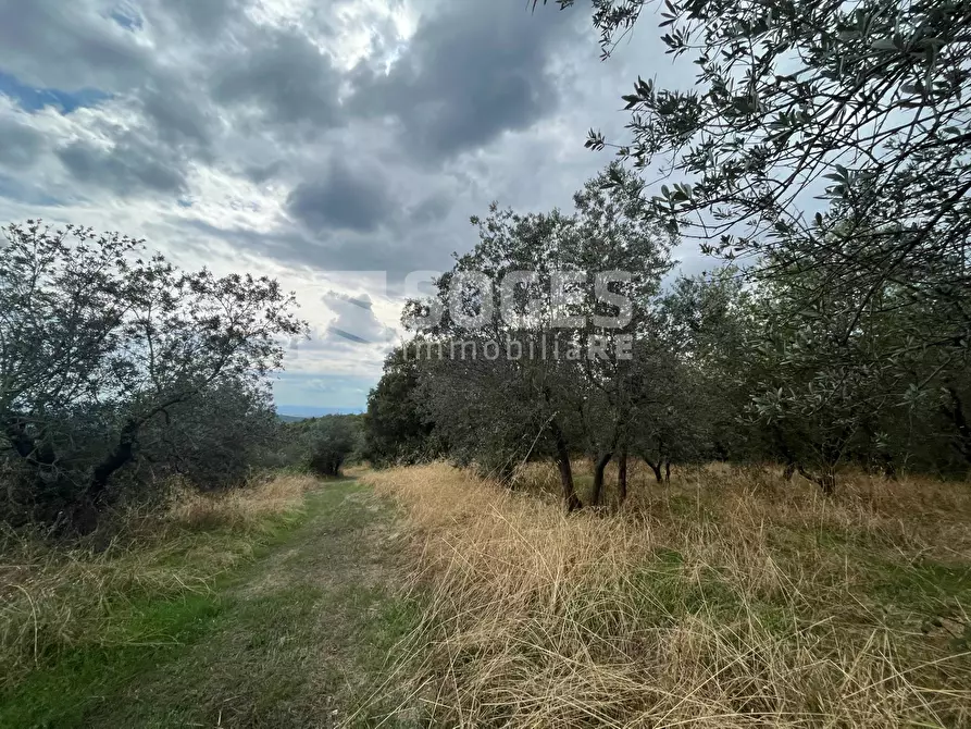 Immagine 26 di Villa in vendita  in Montebenichi a Bucine