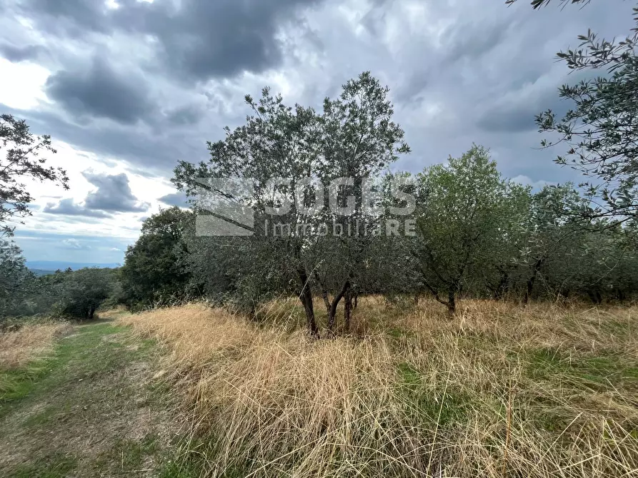 Immagine 29 di Villa in vendita  in Montebenichi a Bucine