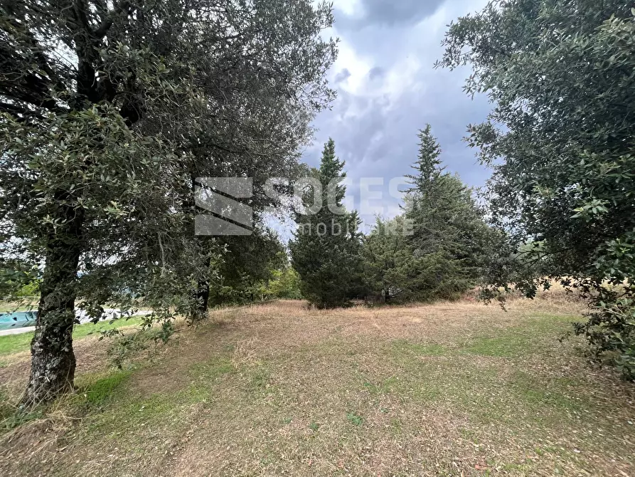 Immagine 30 di Villa in vendita  in Montebenichi a Bucine