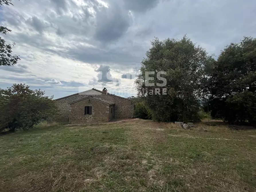 Immagine 24 di Villa in vendita  in Montebenichi a Bucine