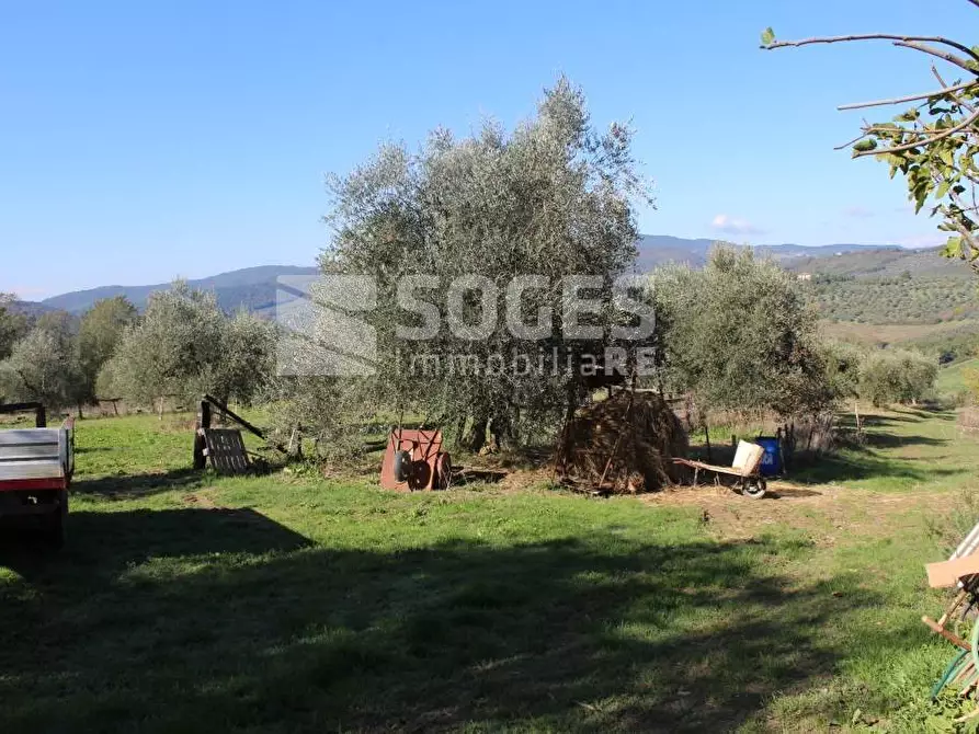 Immagine 20 di Rustico / casale in vendita  a Pontassieve