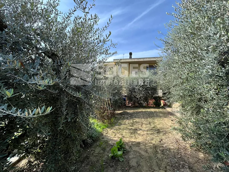 Immagine 23 di Casa indipendente in vendita  in Via Filippo Turati a Cavriglia