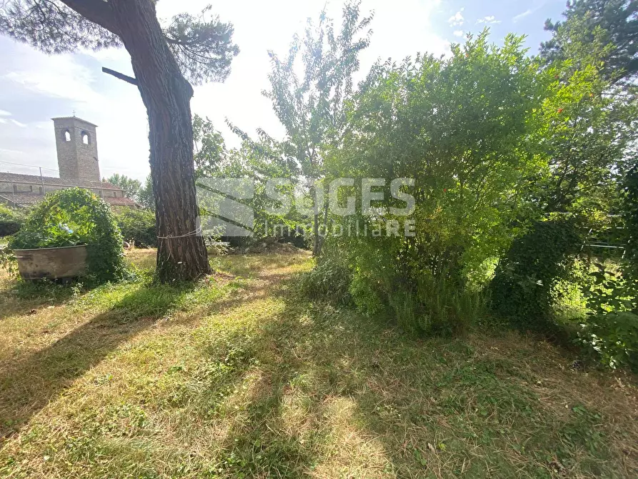 Immagine 29 di Villa in vendita  in via fontarnieri a Rufina