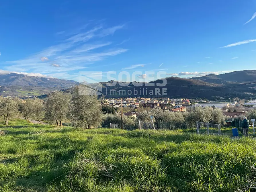 Immagine 4 di Terreno agricolo in vendita  in Via San Martino a Quona a Pontassieve