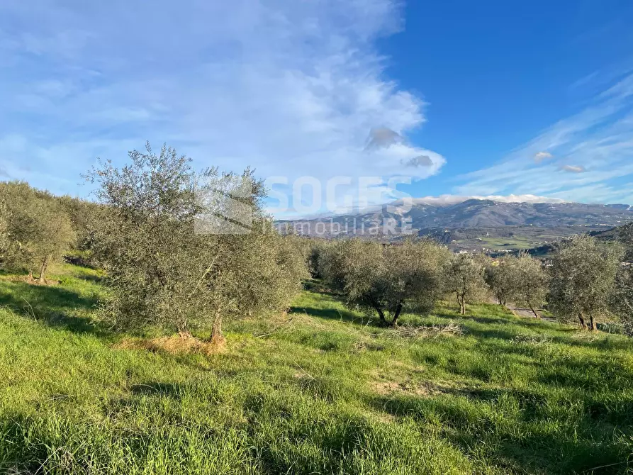 Immagine 8 di Terreno agricolo in vendita  in Via San Martino a Quona a Pontassieve