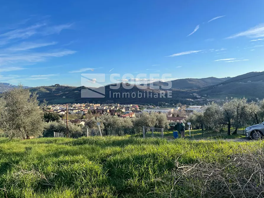 Immagine 9 di Terreno agricolo in vendita  in Via San Martino a Quona a Pontassieve
