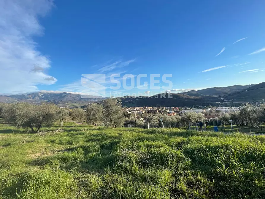 Immagine 10 di Terreno agricolo in vendita  in Via San Martino a Quona a Pontassieve