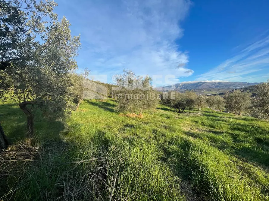 Immagine 11 di Terreno agricolo in vendita  in Via San Martino a Quona a Pontassieve
