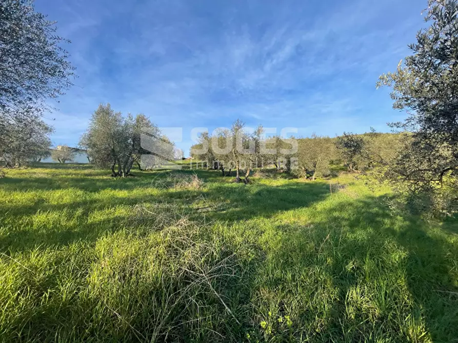 Immagine 12 di Terreno agricolo in vendita  in Via San Martino a Quona a Pontassieve