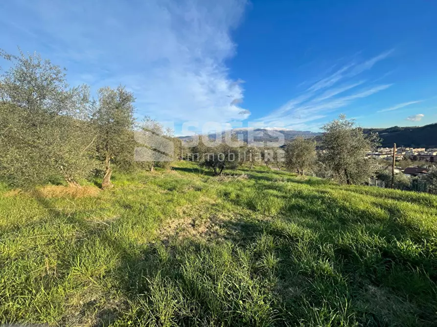 Immagine 13 di Terreno agricolo in vendita  in Via San Martino a Quona a Pontassieve