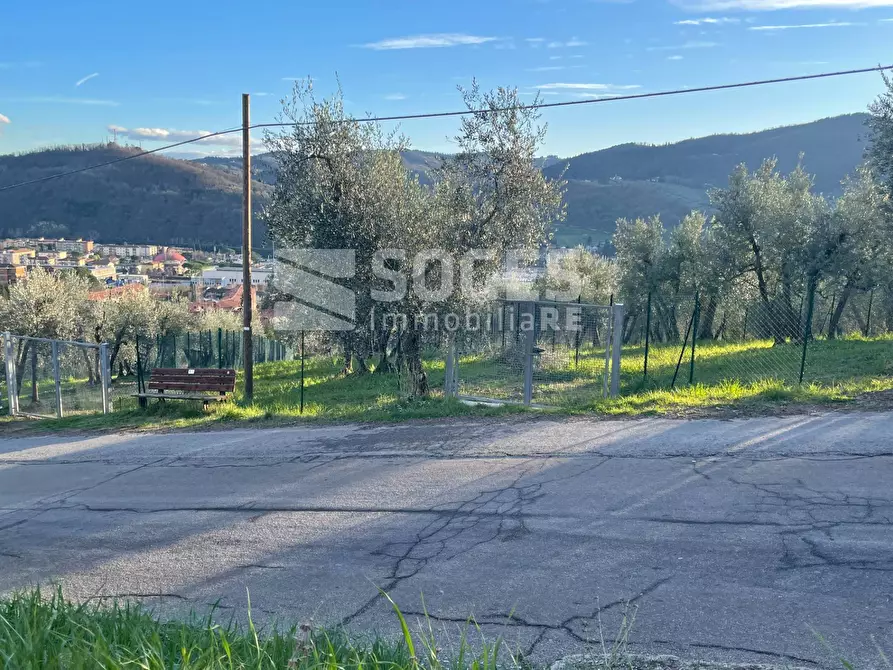 Immagine 14 di Terreno agricolo in vendita  in Via San Martino a Quona a Pontassieve