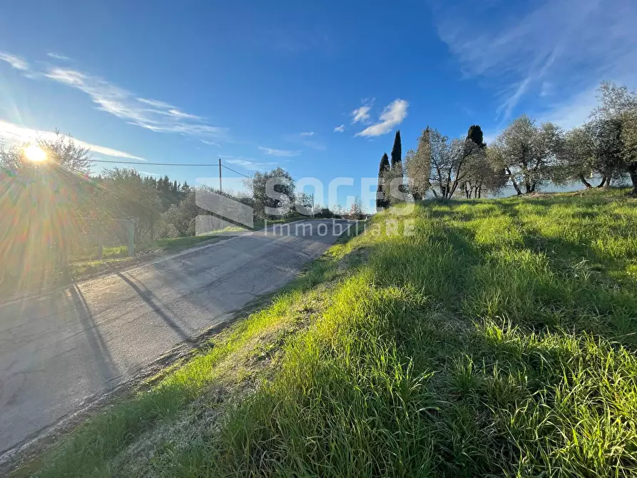 Immagine 15 di Terreno agricolo in vendita  in Via San Martino a Quona a Pontassieve