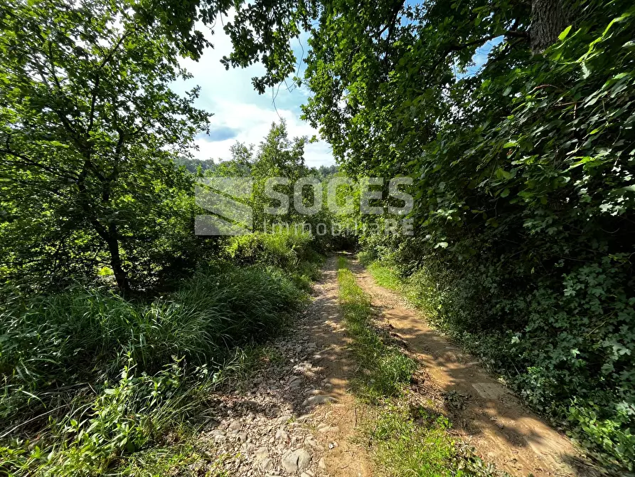 Immagine 5 di Terreno agricolo in vendita  in strada comunale montelungo a Terranuova Bracciolini
