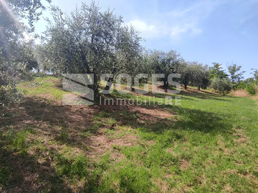 Immagine 20 di Casa indipendente in vendita  in via botriolo a Castelfranco Piandiscò